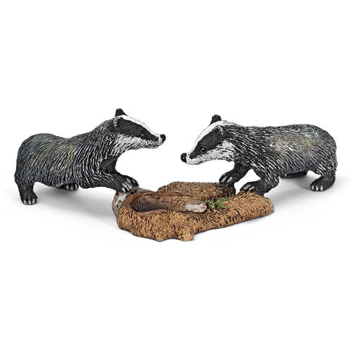 Badger Cubs