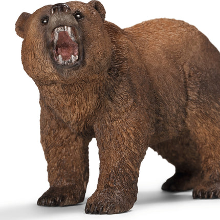 Grizzly Bear