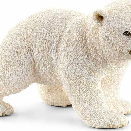 Polar Bear Cub, Walking