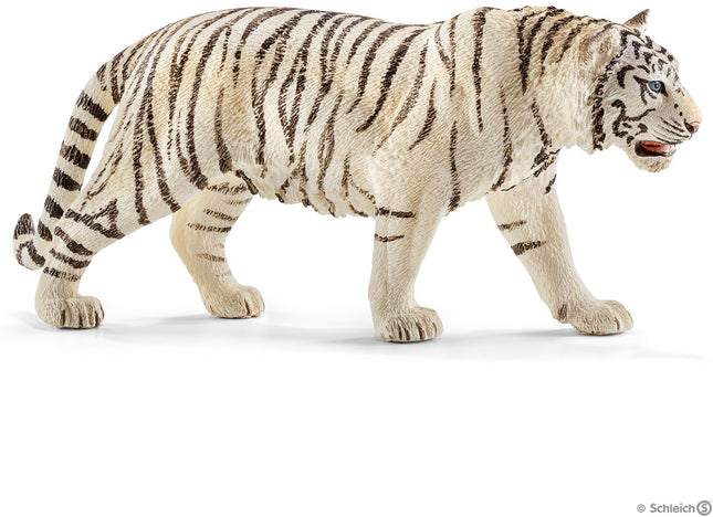 Tiger, White