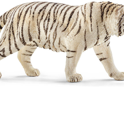 Tiger, White