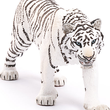 Tiger, White