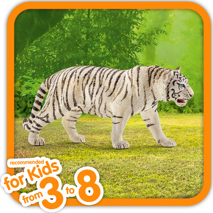 Tiger, White