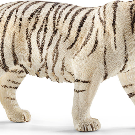 Tiger, White