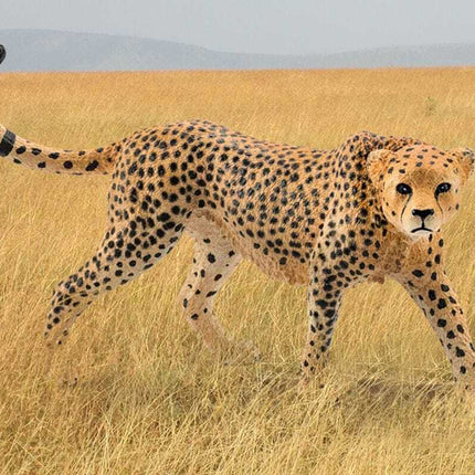 Cheetah Female Safari Animal Toy