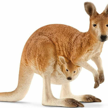 Kangaroo