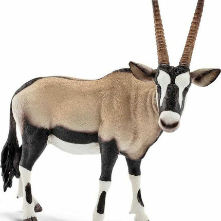 Oryx