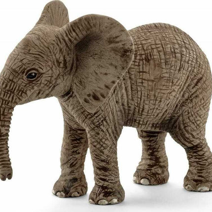 African Elephant Calf