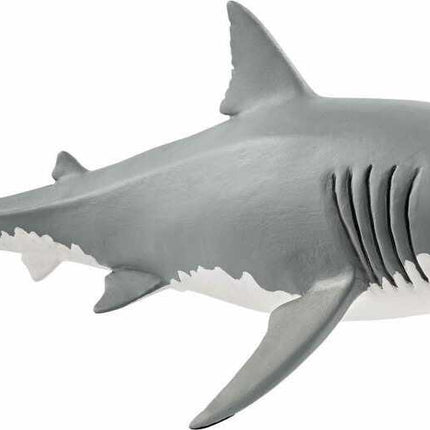 Great White Shark