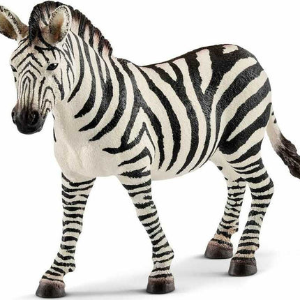 Zebra Female