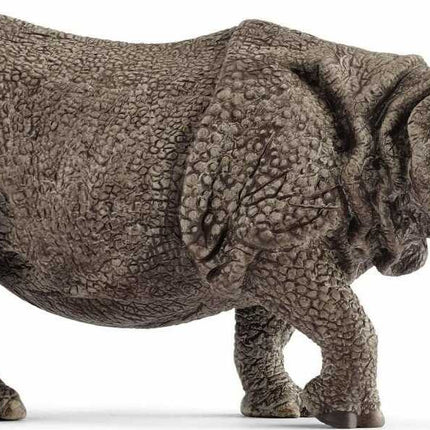 Indian Rhinoceros
