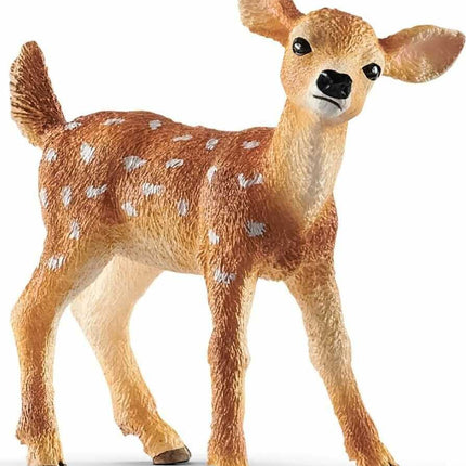 White-Tailed Fawn