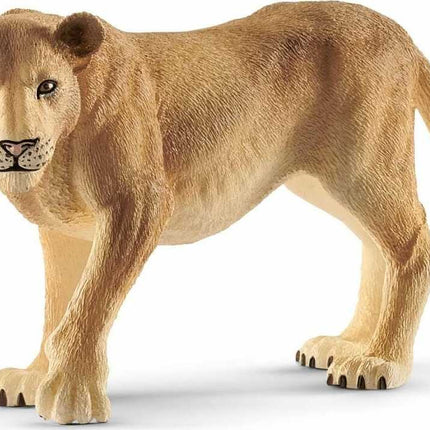 Lioness