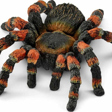 Tarantula