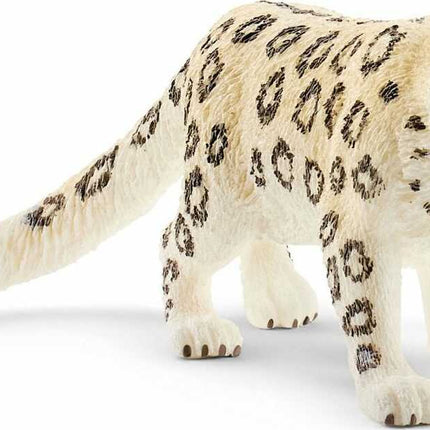 Snow Leopard