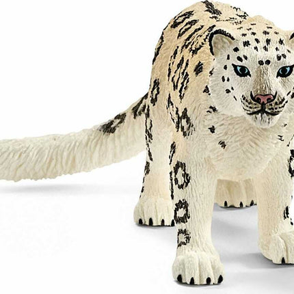 Snow Leopard