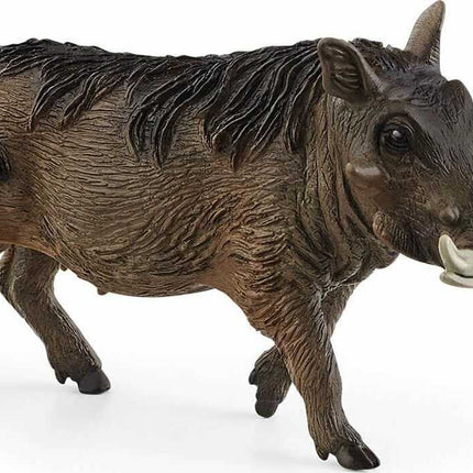 Warthog
