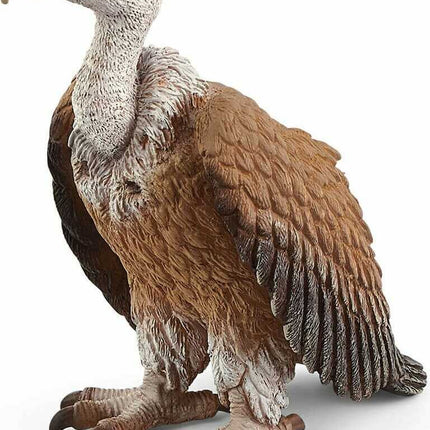 Vulture