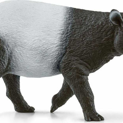 Tapir