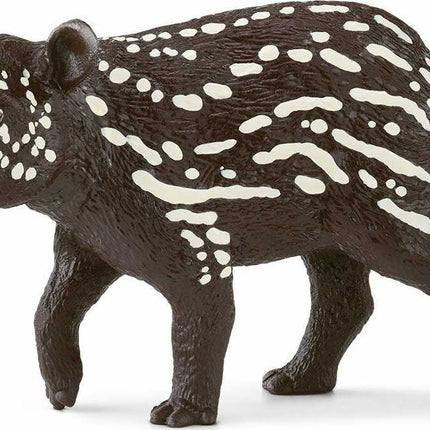 Tapir Baby