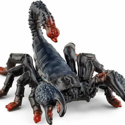 Emperor Scorpion
