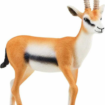 Thomson Gazelle