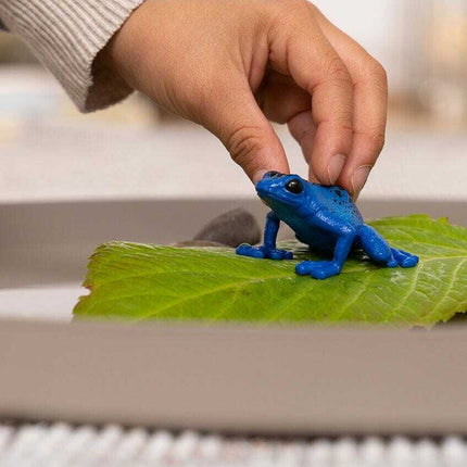 Blue Poison Dart Frog
