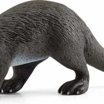 Otter
