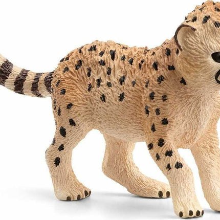 Cheetah Baby