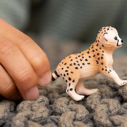 Cheetah Baby