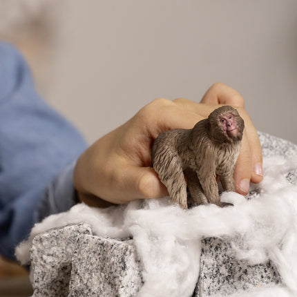 WILD LIFE Japanese Macaque