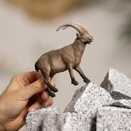 WILD LIFE Ibex