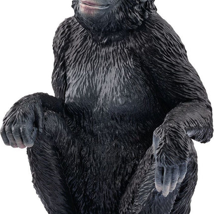 WILD LIFE Bonobo Female