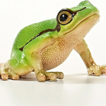 schleich WILD LIFE European Tree Frog