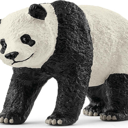 Giant Panda