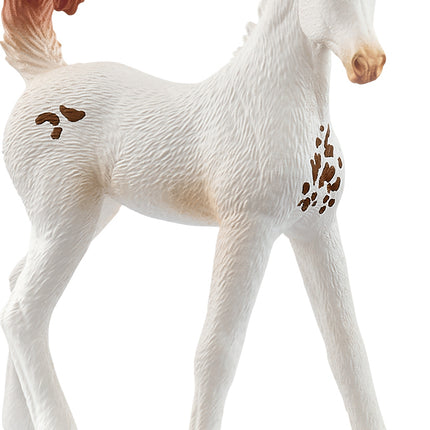 schleich HORSE CLUB Marwari Foal