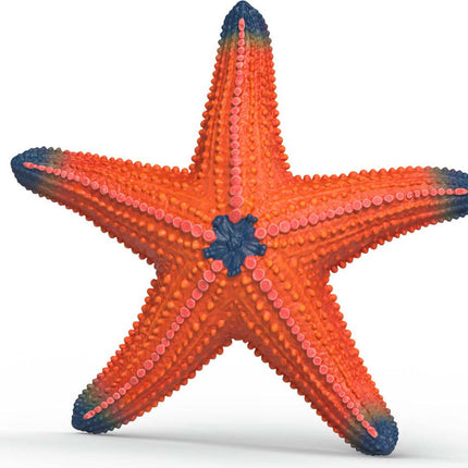 Starfish (color change) Animal Toy Figurine