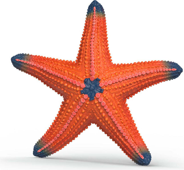 Starfish (color change) Animal Toy Figurine