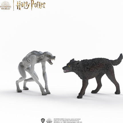 Werwolf vs Animagus