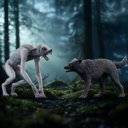 Werwolf vs Animagus