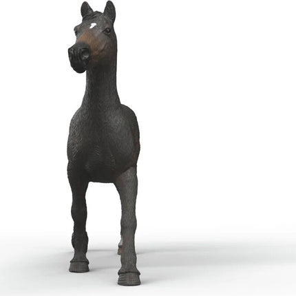 English Throrougbred Mare