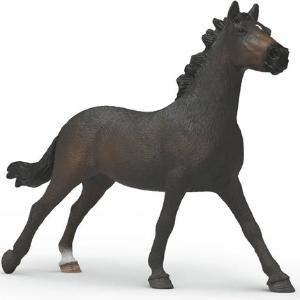 English Throrougbred Mare