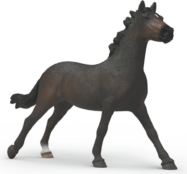 English Throrougbred Mare