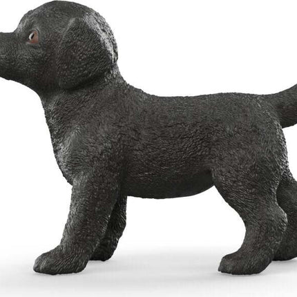 Black Labrador Retriever Puppy