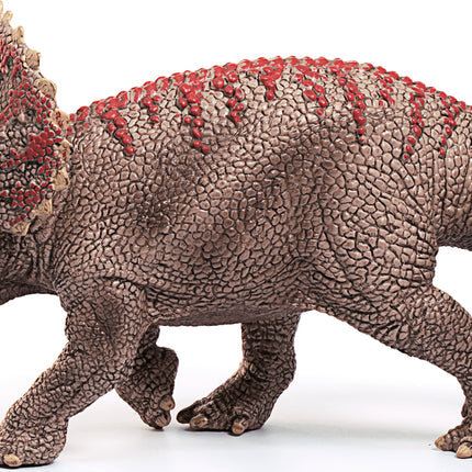 Triceratops