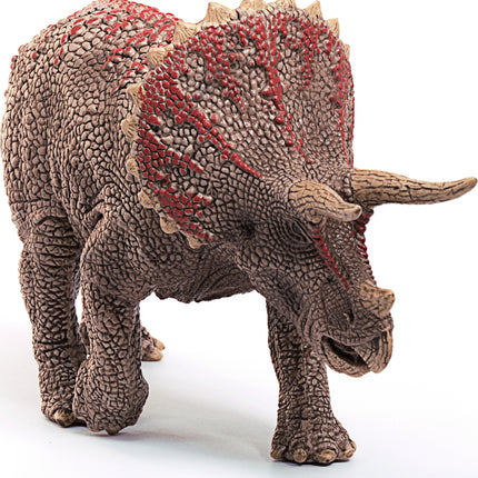 Triceratops