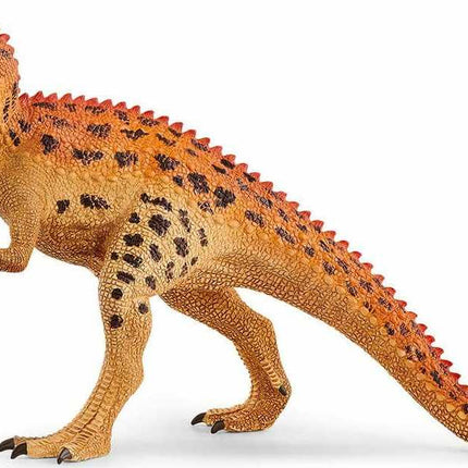 Ceratosaurus