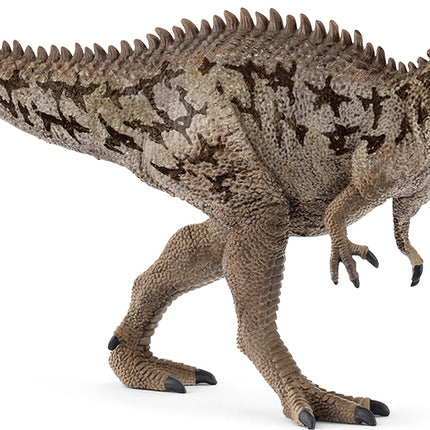 schleich Dinosaurs Carcharodontosaurus