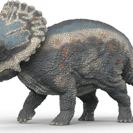 Triceratops