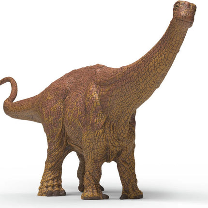 Brontosaurus